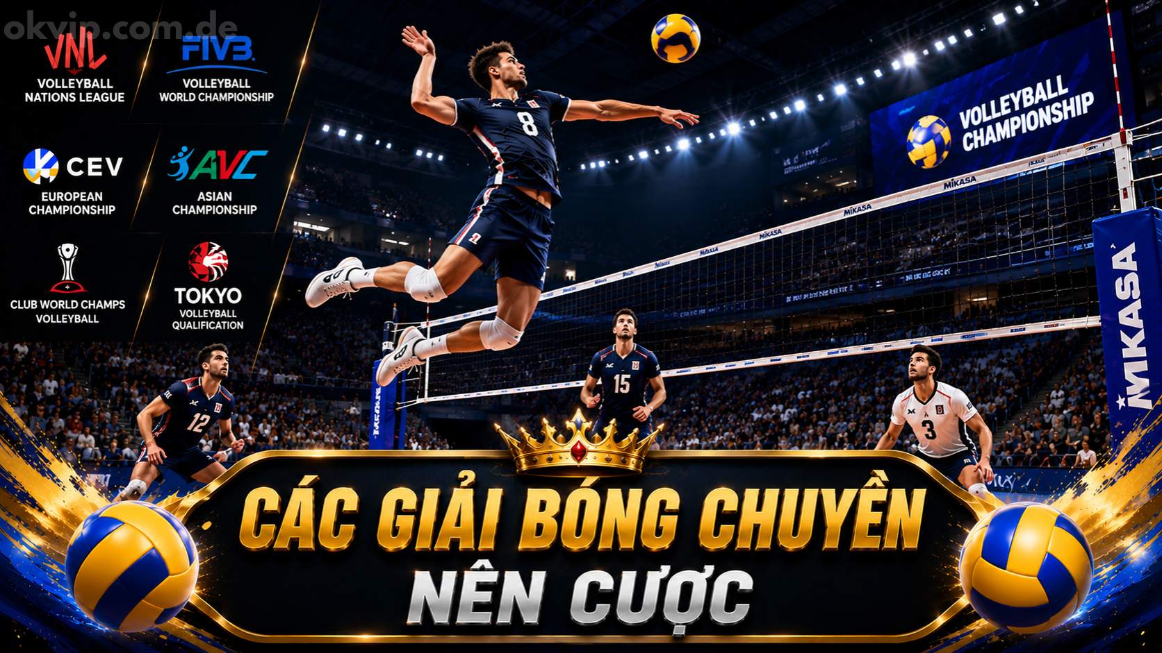 tổng hợp các giải bóng chuyền đáng cược